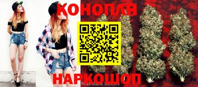 прущий лед Аргун